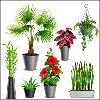 6款绿色植物和放植物的场景易图库矢量素材精选