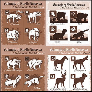 14套森林野生动物和动物脚印16图库矢量插图精选
