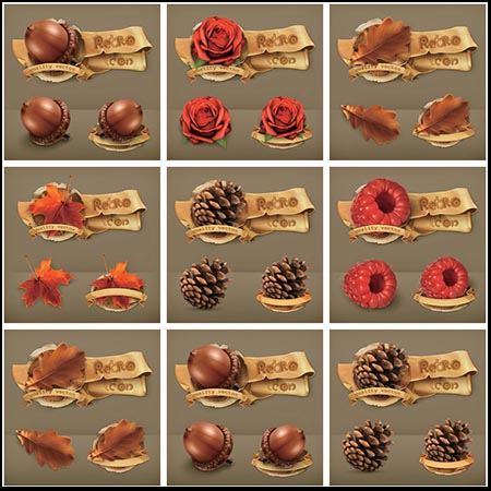 复古色调的坚果 玫瑰花 枫叶等水果16图库矢量插图精选