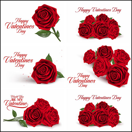 5款情人节快乐红色玫瑰花素材天下矢量插图精选
