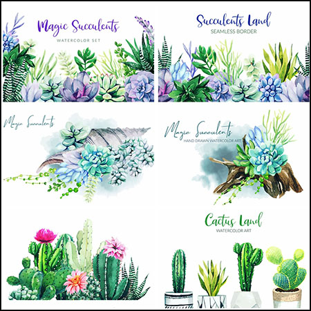 9款热带花卉和仙人掌植物插图16图库矢量素材精选
