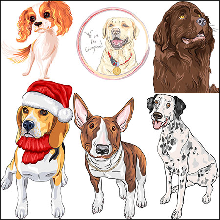 6款可爱不同品种的狗素描插图易图
