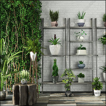 现代绿色盆栽和植物墙装饰组合3D模