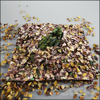 长满苔藓的老树桩和落下的树叶3D模型