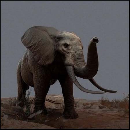 动物大象3D模型16素材网精选