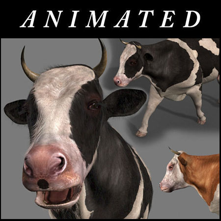 5种颜色的母牛奶牛3D模型16素材网精选