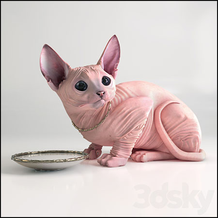 斯芬克斯猫无毛猫3D模型