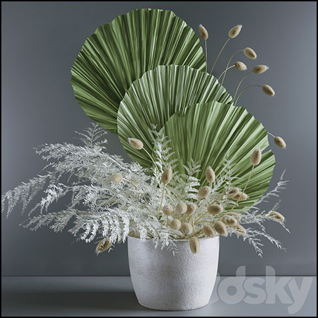 蕨类植物和热带树叶花束3D模型素材