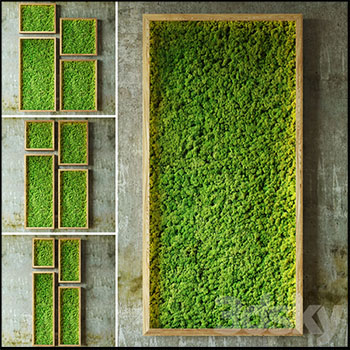 长满苔藓的墙壁3D模型