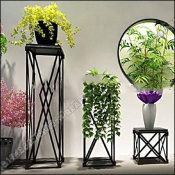 绿色植物盆栽集合3D模型