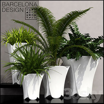 白色花盆和绿色花卉植物3D模型16设