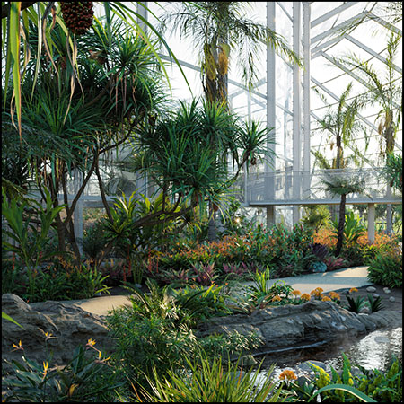 15种热带花园景观装饰灌木花卉和树木3D模型