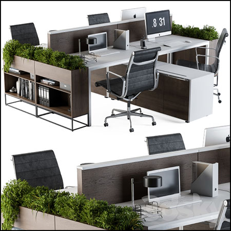 现代办公桌办公椅和花盒植物3D模型