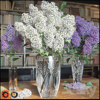 紫色丁香花花卉盆景3D模型16设计网精选