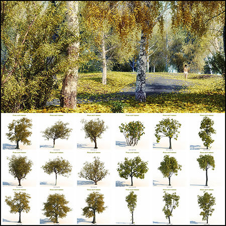 15种秋季黄色树叶树木和灌木3DMAX模型