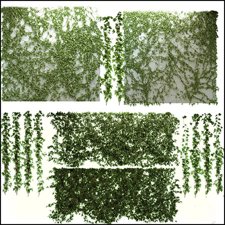 现代爬山虎藤蔓绿植植物3D模型素材天下精选