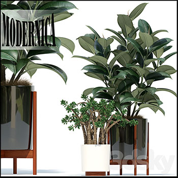绿色植物花盆盆栽3D模型16设计网精选