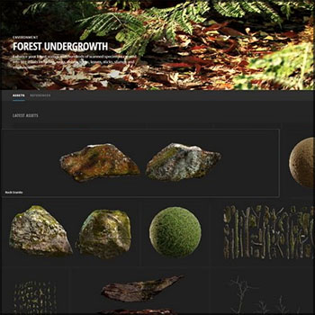 灌木丛森林 蘑菇 苔藓 岩石 树叶 树枝 树桩3D贴图/3D模型16素材网精选