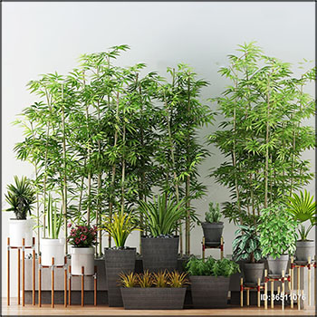现代绿色植物盆栽3D模型素材天下精选