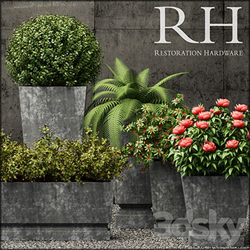 水泥花盆花坛盆栽绿色植物3D模型