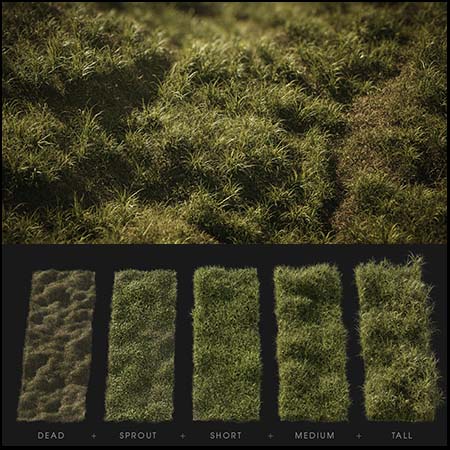 野生的绿色小草草坪3D/C4D模型