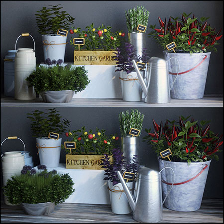 厨房绿色植物花盆花卉装饰品3D模型