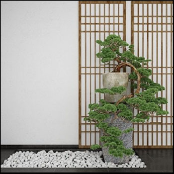 中式绿色植物盆栽松树盆景3D模型