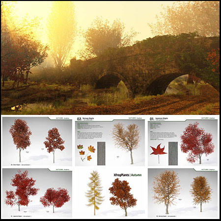20款世界各国3D枫树和杨树等OBJ/TEX格式