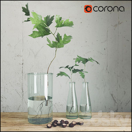玻璃花瓶和分支植物3D模型素材天下精选