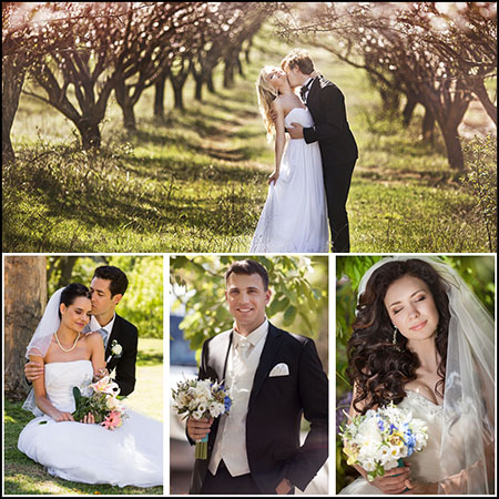 10P漂亮的新郎和新娘婚纱照JPG高清图片