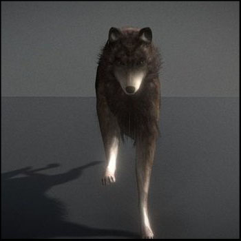 奔跑的狼3D模型16图库网精选