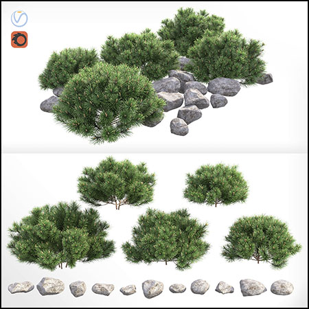 针叶树灌木和石头石块3D模型16设计网精选