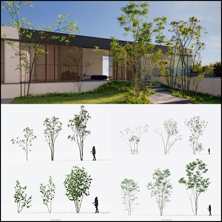 16款公园花园内装饰小树树木植物3D模型16设计网精选