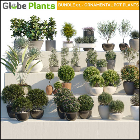 20款58种绿色观赏盆栽植物3D模型素材天下精选