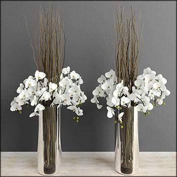 插着白色兰花和杨柳红的玻璃花瓶3D模型