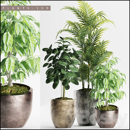 绿色棕榈植物盆栽3D模型