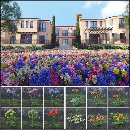 60款园林花卉小花植物3D模型16设计网精选