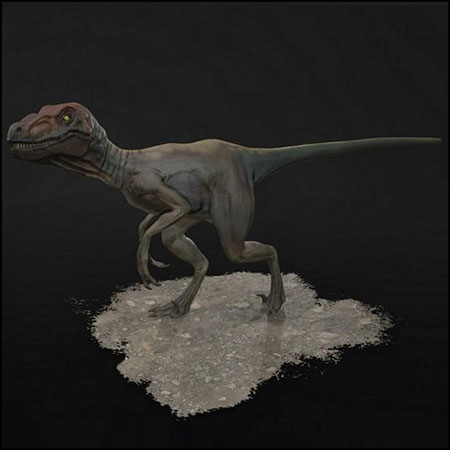 Raptor恐龙3D模型素材天下精选