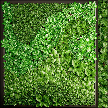绿色立式植物墙3D模型素材天下精选
