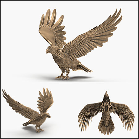 展翅的青铜老鹰摆件装饰品3D模型素材天下精选