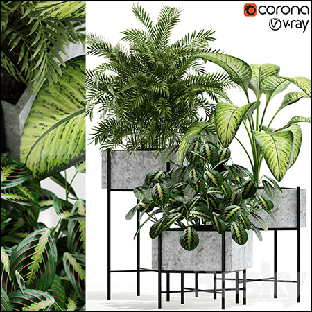 绿色盆栽植物系列 143 Opalo 3D模