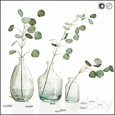 玻璃花瓶中的桉树枝叶装饰品3D模型