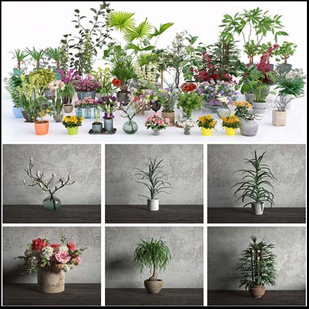56款花卉盆栽3D模型
