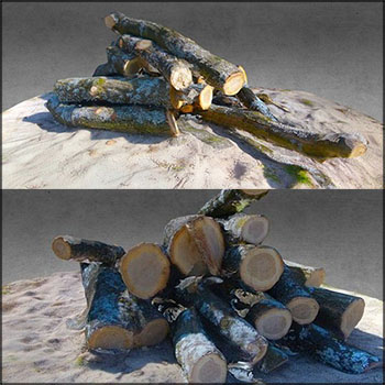 木柴堆3D模型素材天下精选