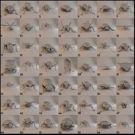 60组甲壳虫昆虫蜜蜂蚂蚁蜘蛛虫子动物3D/C4D模型