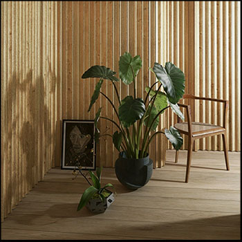 荷叶盆栽和花卉椅子等室内场景3D/C