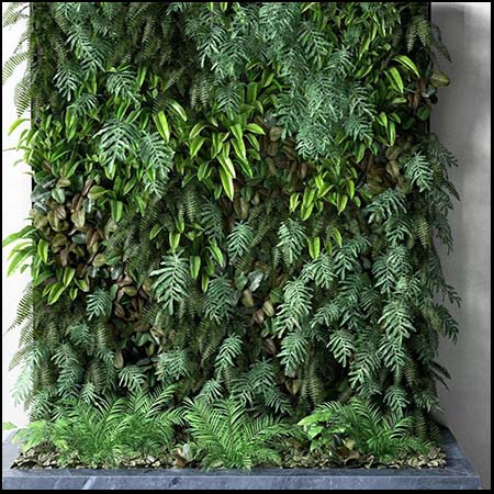 绿色植物墙3D/C4D模型素材天下精选