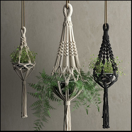 垂吊装饰吊篮和绿色植物盆景3D/C4D